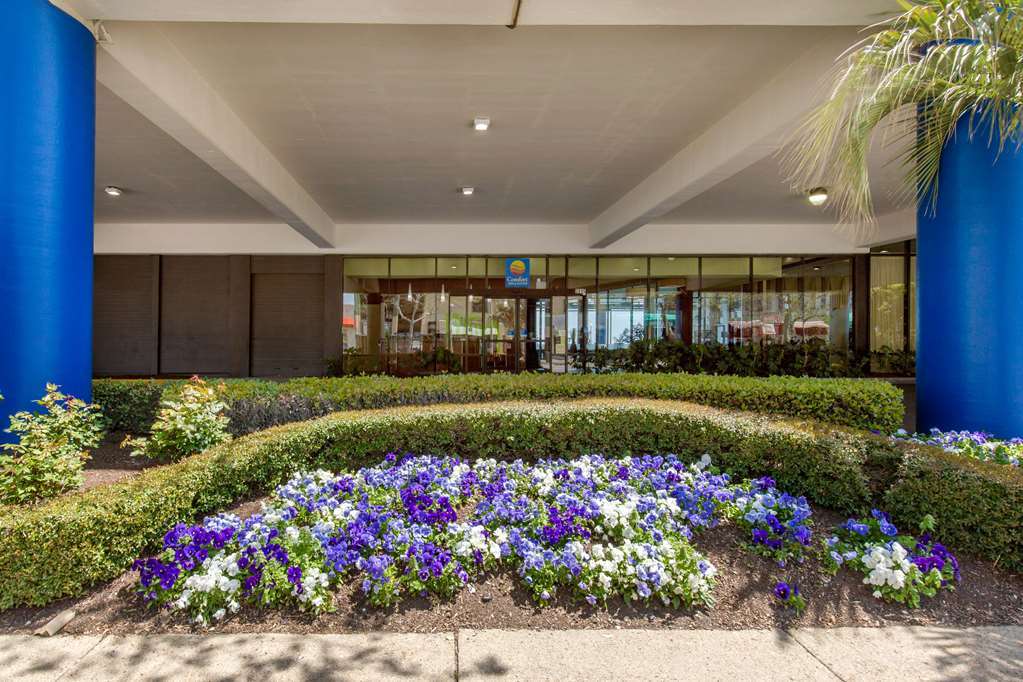 Coastal Hotel & Suites Virginia Beach - Oceanfront Exteriör bild